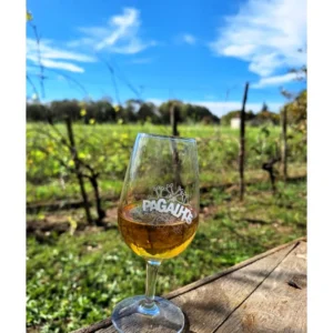 Pack de 6 Verres Pagalhos